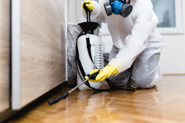 Insect Control in Drain, OR