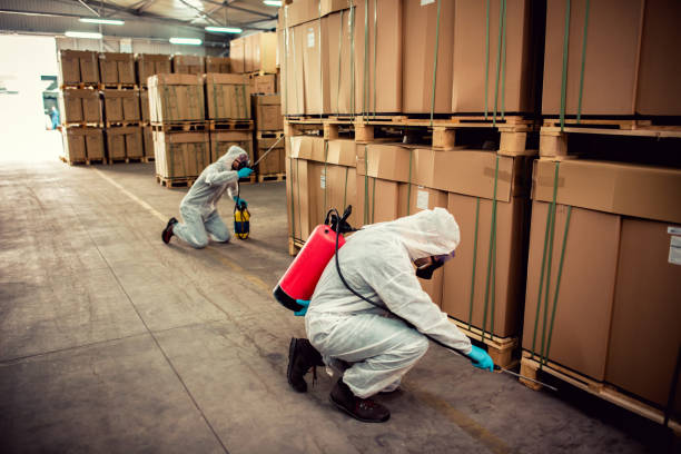Best Termite Control Services  in Drain, OR