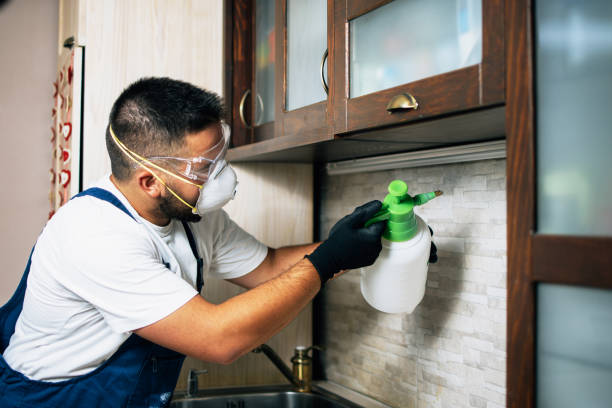 Best Mosquito Control Services  in Drain, OR