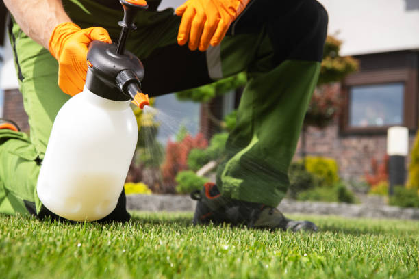 Best Mosquito Control Services  in Drain, OR