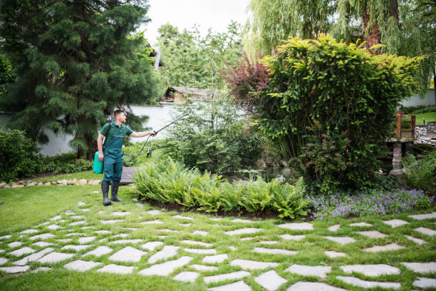 Best Pest Prevention Services  in Drain, OR