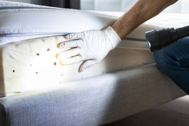 Reliable Drain, OR Pest Control Solutions
