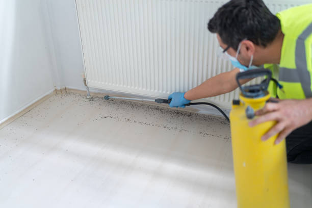 Best Exterminator Services  in Drain, OR