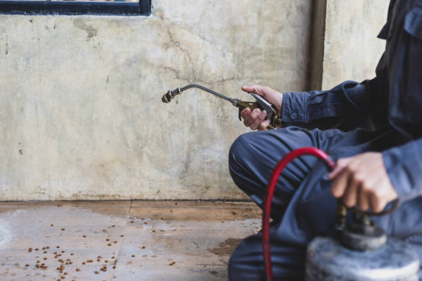 Best Affordable Pest Control Services  in Drain, OR