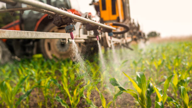 Pest Prevention Services in Drain, OR